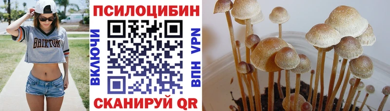 Галлюциногенные грибы MAGIC MUSHROOMS  Качканар 